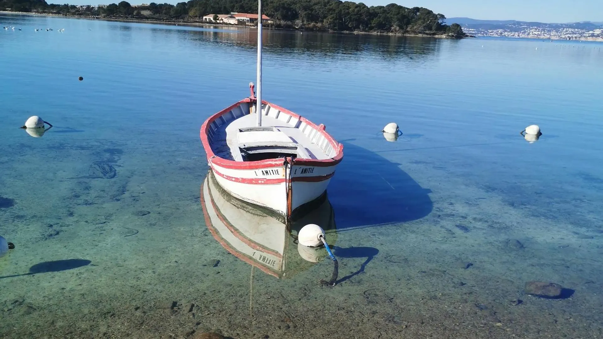 Belazur Entre Plage Et Port Bandol Apartment